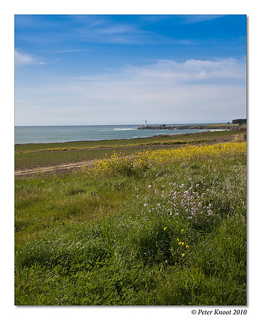 Pigeon Point Lighthouse