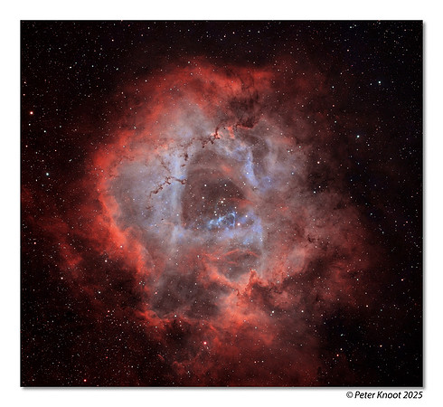 Rosette Nebula