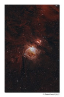 Orion Nebula