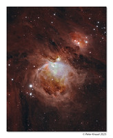 Orion Nebula