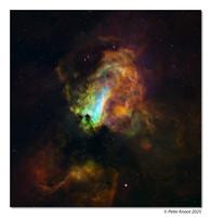 Swan Nebula