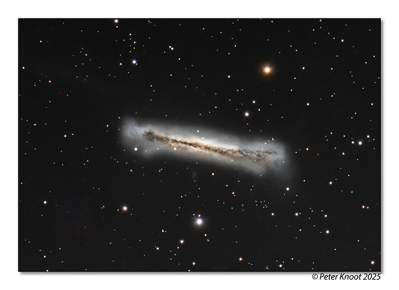 Hamburger Galaxy