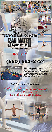 Composite Display Banner
