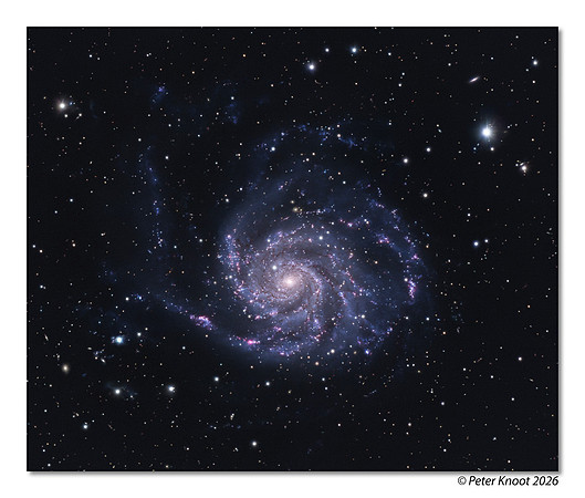 Pinwheel Galaxy