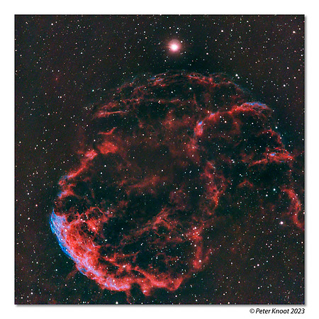 Jellyfish Nebula
