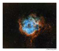 Rosette Nebula SHO