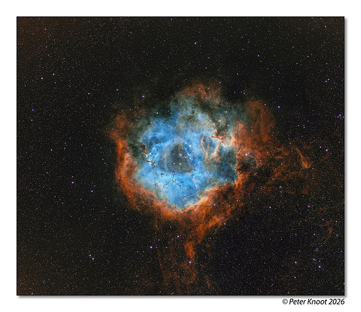 Rosette Nebula SHO