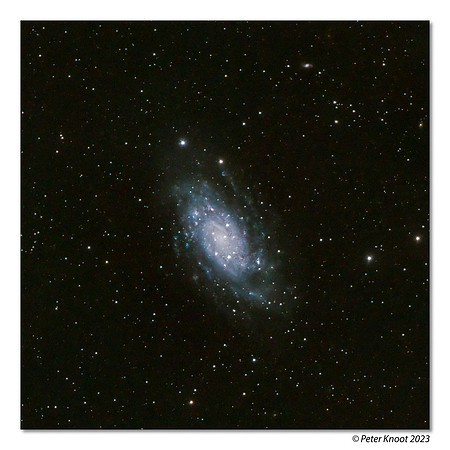 Barred Spiral Galaxy