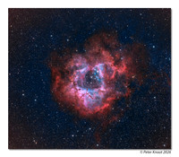 Rosette Nebula RGB