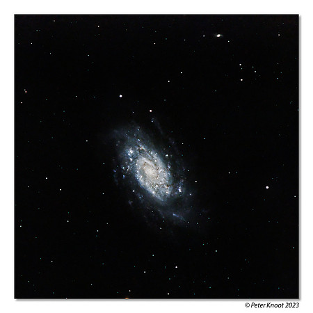 NGC2403 Barred Spiral Galaxy