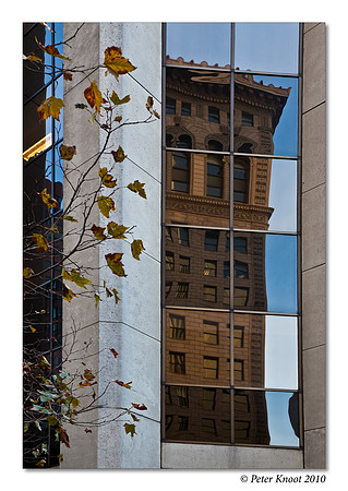 Reflections