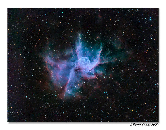 Thor's Helmet