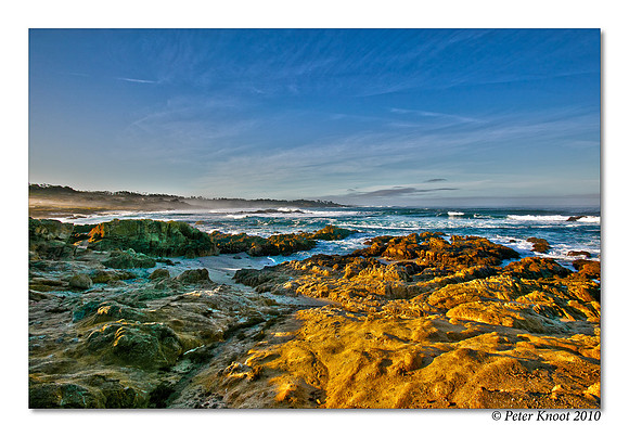 Bird Rock